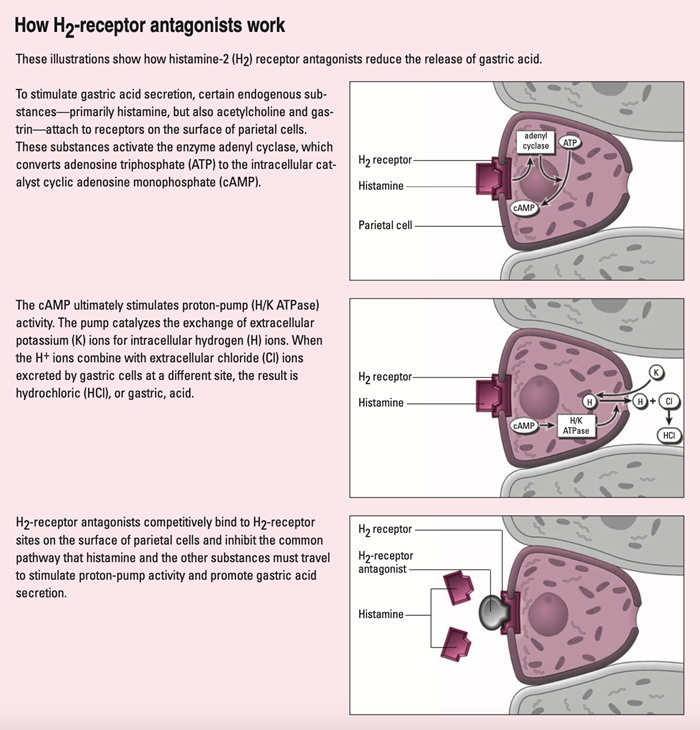 H2-Antagonist-How-it-works-(1).png