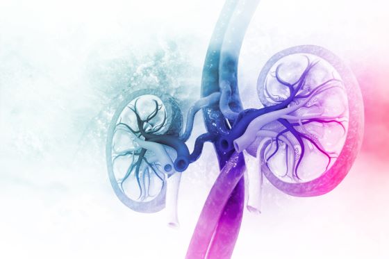 Acute Kidney Injury versus Chronic Kidney Disease