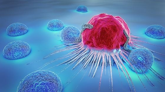 Cancer Cells Versus Normal Cells Lippincott NursingCenter   Cancer Cells Vs Normal Cells.aspx