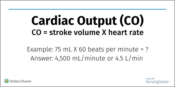 Cardiac Output And Cardiac Index What S The Difference