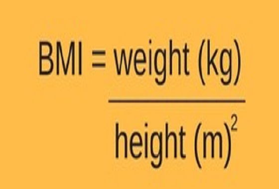 Normal Human Body Weight Chart