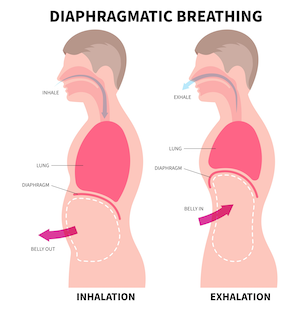 Diaphragmatic-breathing_300-px_AdobeStock_662926149-(3).png